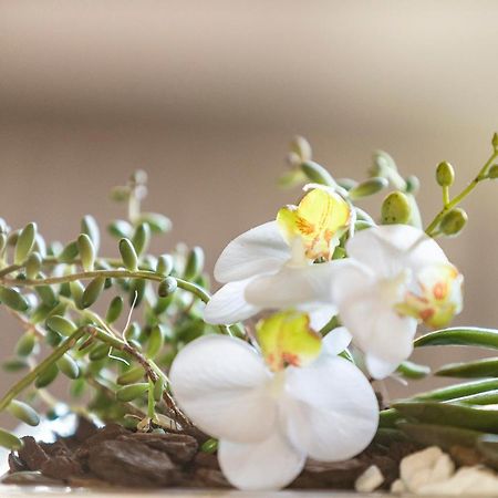 Villa Orselina - Small Luxury Hotel Muralto Kültér fotó